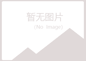 城区山柏工程有限公司